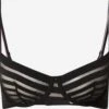 Balconette-BHer Balconette BH Kvinder Sort -s.Oliver Butik 0f50cdefb9a91c279a35f7c0736868ca
