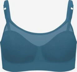 Bustierer Og Sports-BHer Bustier BH Sculpt Sheer Kvinder Blå