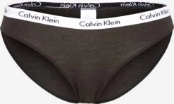 CALVIN KLEIN UNDERWEAR Trusser Slip Carousel Kvinder Sort