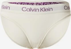 CALVIN KLEIN UNDERWEAR Trusser Slip Kvinder Naturhvid