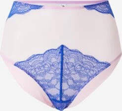DORA LARSEN Panties Panty CAMERON Kvinder Blå / Lilla