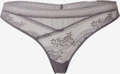 Passionata G-strenge String Kvinder Mørkegrå