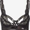 Hunkemöller Bøjle-BHer Balconette BH Iggy Kvinder Sort -s.Oliver Butik 4c527ea994311327a6995d603e0aaade