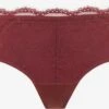 MEY Panties Panty Kvinder Mørkerød -s.Oliver Butik 570a3c7e4899ecbb3c30d3831a2a3c55