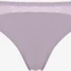 Passionata Trusser Slip Kvinder Lavendel -s.Oliver Butik 5e1bb25649982410af74730007c0855b