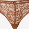 Trusser Slip Kvinder Nude 1 Trusser Slip Kvinder Nude -s.Oliver Butik 6b08ac457907f30f4995f34b69434527