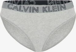 CALVIN KLEIN UNDERWEAR Trusser Slip BIKINI Kvinder Grå