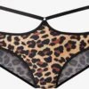 Panties Panty Kvinder Blandingsfarvet -s.Oliver Butik 7fb9953e4e0433e5488a0b2b8b7f18b8