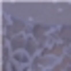 Panties Panty Kvinder Lilla -s.Oliver Butik 81634e5a0ce45ee899b5e09ef2ff9fc4