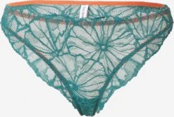 DORA LARSEN Panties Panty GAIA Kvinder Petroleum