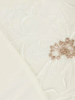 Chantelle Panties Panty DAY TO NIGHT Kvinder Elfenben -s.Oliver Butik 9c04d5cfe7d9546e00d5f110d1bdcebb