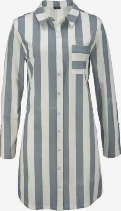 Natskjorter Natskjorte Dreams Kvinder Røgblå / Hvid