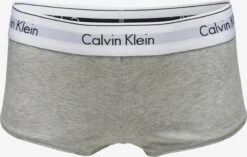 CALVIN KLEIN UNDERWEAR Panties Panty Kvinder Grå-meleret