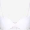 Passionata Bøjle-BHer T-shirt-BH BH WHITE NIGHTS Kvinder Hvid -s.Oliver Butik c6486209810e6d7fa34b827234476fce