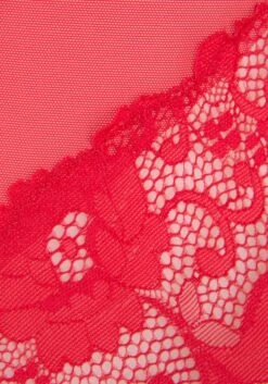 Jette Blonde Body Suits Body Kvinder Rød -s.Oliver Butik d72be5185cd3407e036da919a2a6d3d7