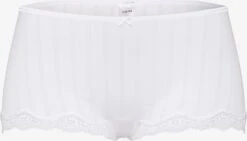 Calida Panties Panty Etude Toujours Kvinder Hvid