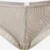 ESPRIT Trusser Slip Kvinder Taupe 1 ESPRIT Trusser Slip Kvinder Taupe -s.Oliver Butik edf5748d7d441e6d62f4d27ad0f6c8ec