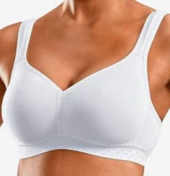 T-shirt-BHer Regular BH Kvinder Lyserød / Hvid -s.Oliver Butik f9e8d98b80efeef2674fe40818220f19